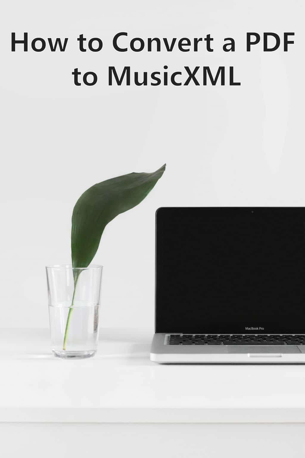 convert pdf to musicxml